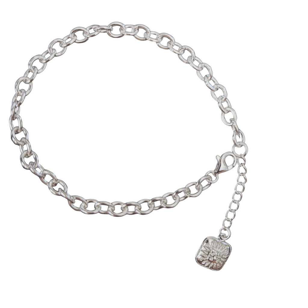 BE 925 Silver Charm bracelet